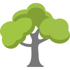 Morgantown Tree Trimming