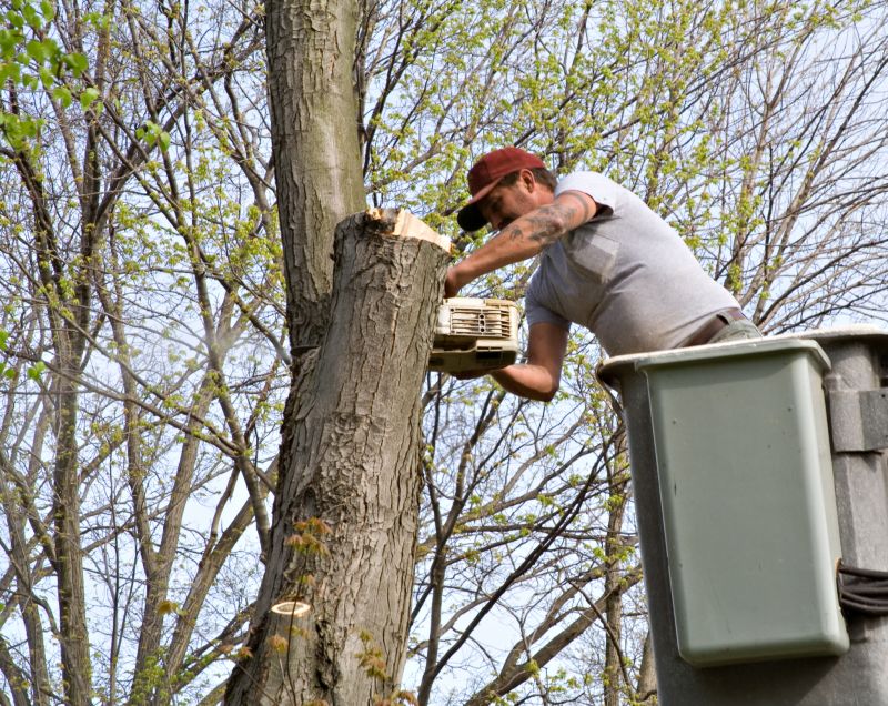 Contact About Tree Trimming
