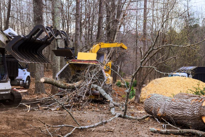 Deadwood Removal