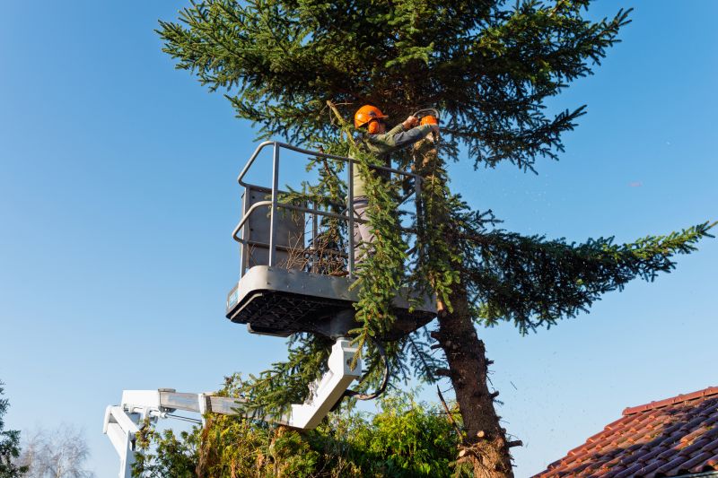 Emergency Tree Trimming