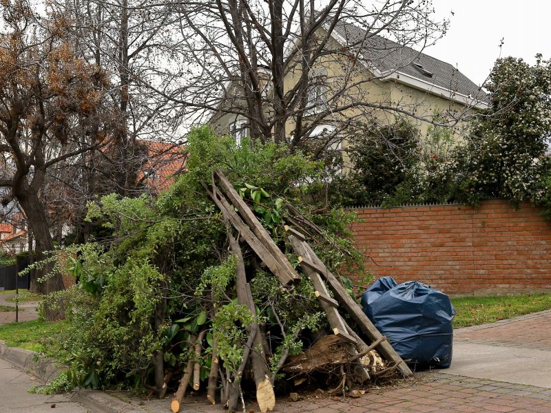 Leaf Removal Service