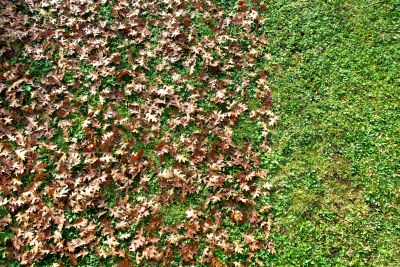 Seasonal Maintenance