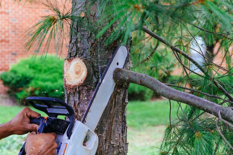 Tree Branch Cutting detail