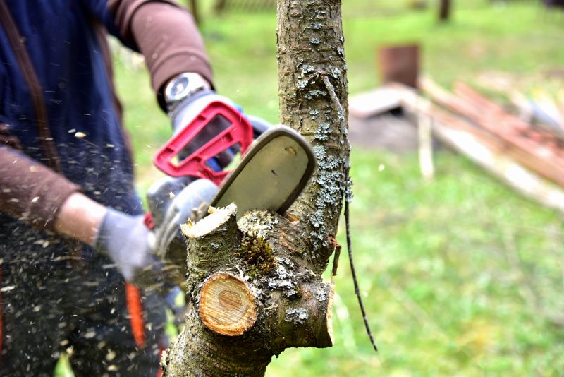 Tree Branch Cutting detail