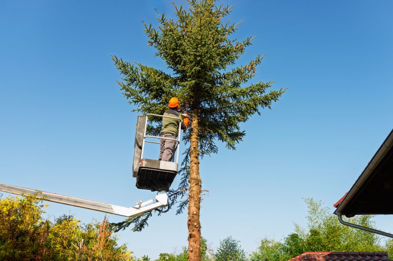 Tree Pruning detail