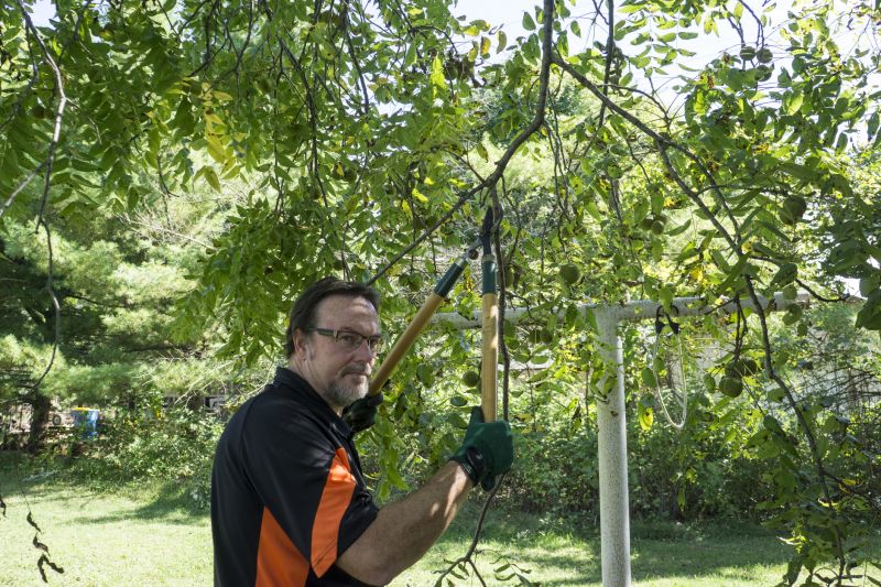 Tree Trimming Service detail