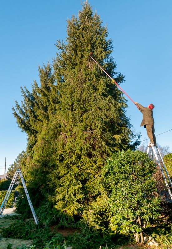 Products For Tree Trimmings in use