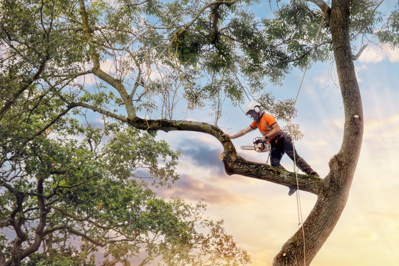 Tree Trimming Equipment