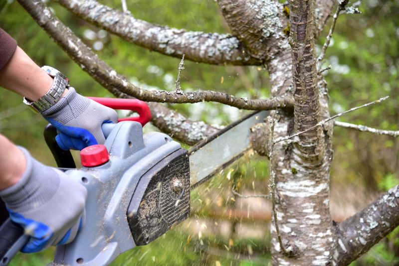 Tools You Actually Need