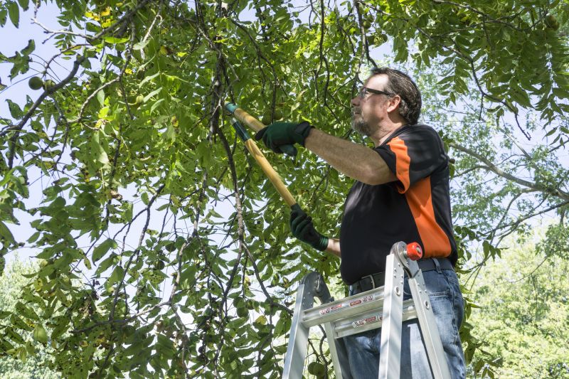 Shaping Young Trees