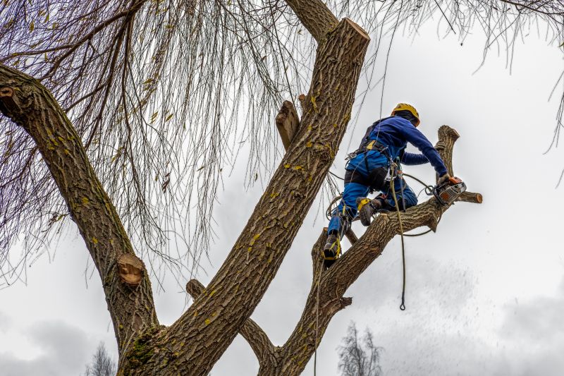 Climbing and Rigging